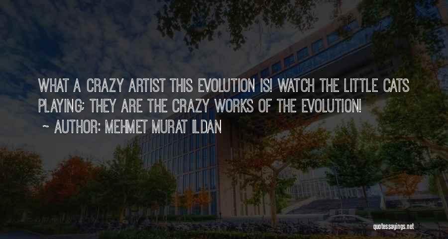 Mehmet Murat Ildan Quotes: What A Crazy Artist This Evolution Is! Watch The Little Cats Playing; They Are The Crazy Works Of The Evolution!