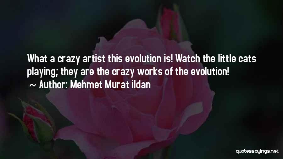 Mehmet Murat Ildan Quotes: What A Crazy Artist This Evolution Is! Watch The Little Cats Playing; They Are The Crazy Works Of The Evolution!