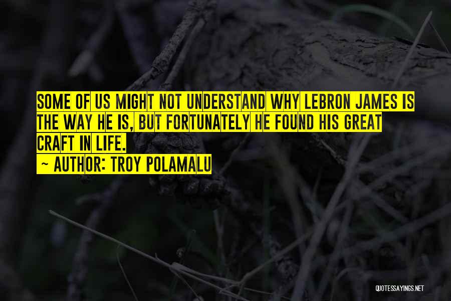 Troy Polamalu Quotes: Some Of Us Might Not Understand Why Lebron James Is The Way He Is, But Fortunately He Found His Great