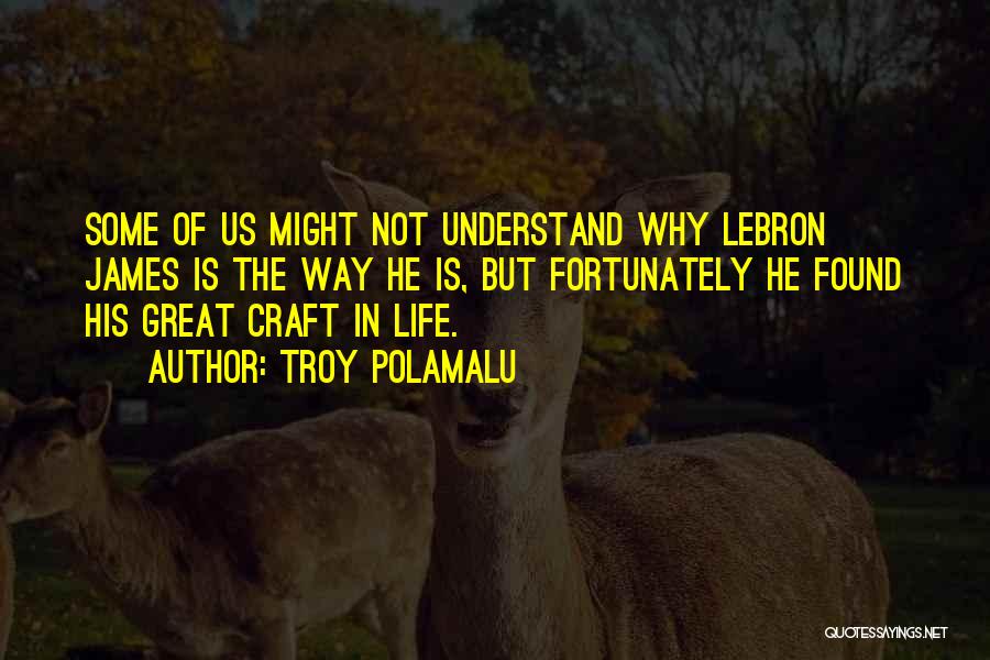 Troy Polamalu Quotes: Some Of Us Might Not Understand Why Lebron James Is The Way He Is, But Fortunately He Found His Great