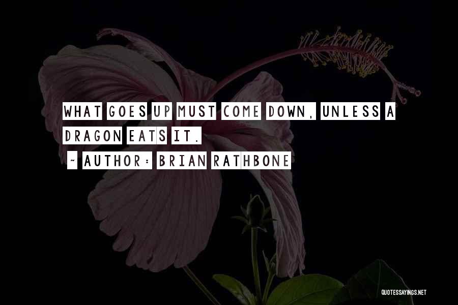 Brian Rathbone Quotes: What Goes Up Must Come Down, Unless A Dragon Eats It.
