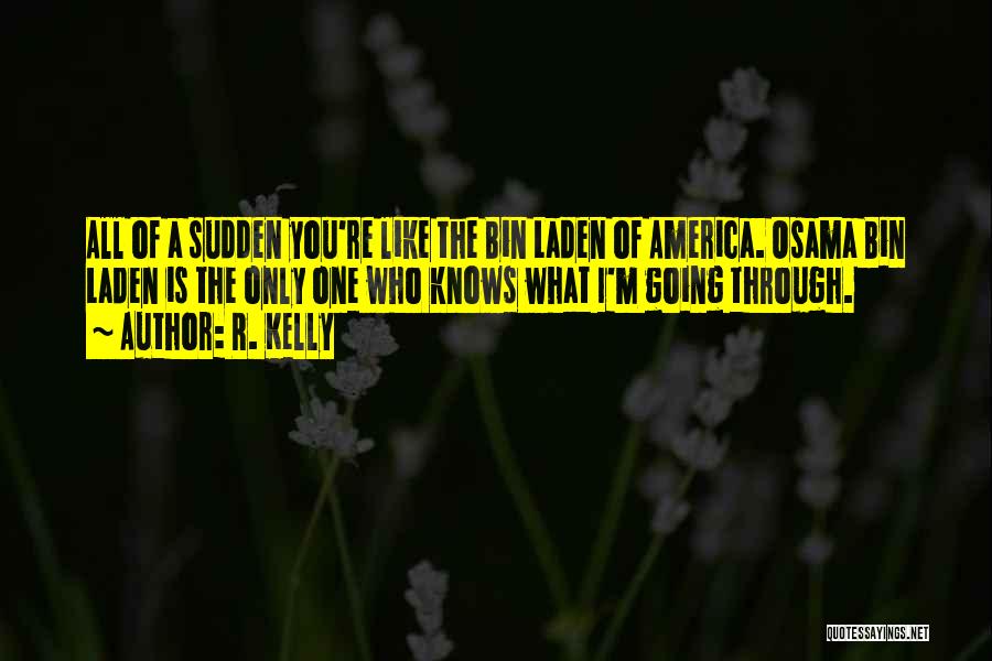 R. Kelly Quotes: All Of A Sudden You're Like The Bin Laden Of America. Osama Bin Laden Is The Only One Who Knows