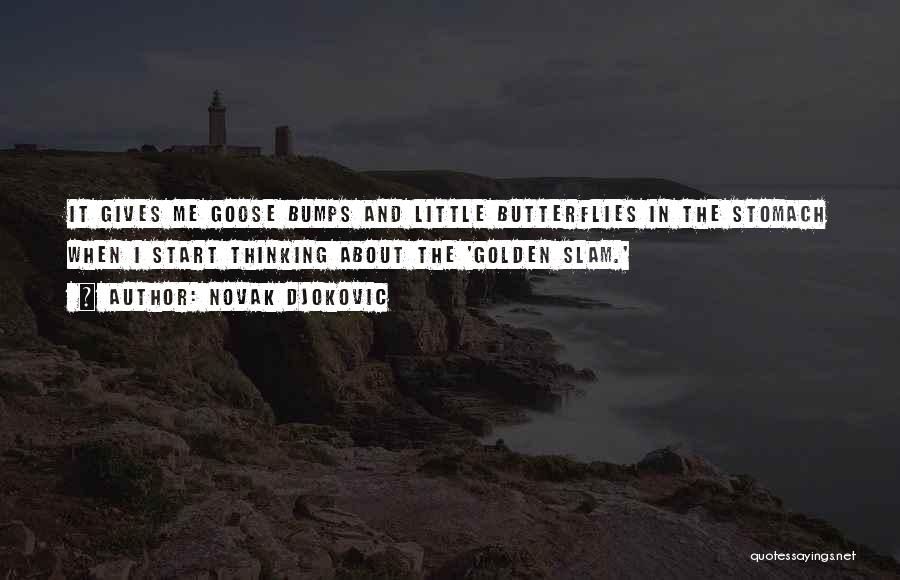 Novak Djokovic Quotes: It Gives Me Goose Bumps And Little Butterflies In The Stomach When I Start Thinking About The 'golden Slam.'