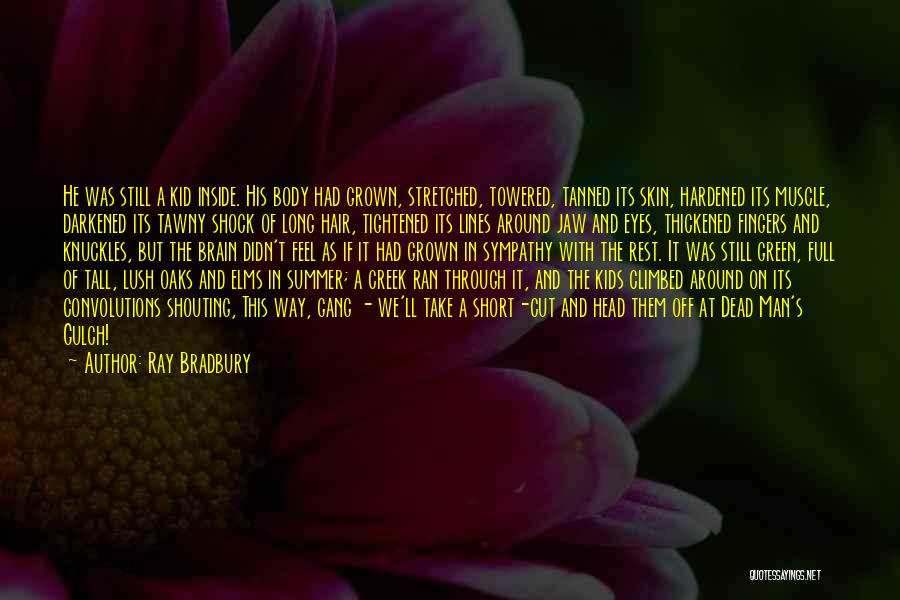 Ray Bradbury Quotes: He Was Still A Kid Inside. His Body Had Grown, Stretched, Towered, Tanned Its Skin, Hardened Its Muscle, Darkened Its