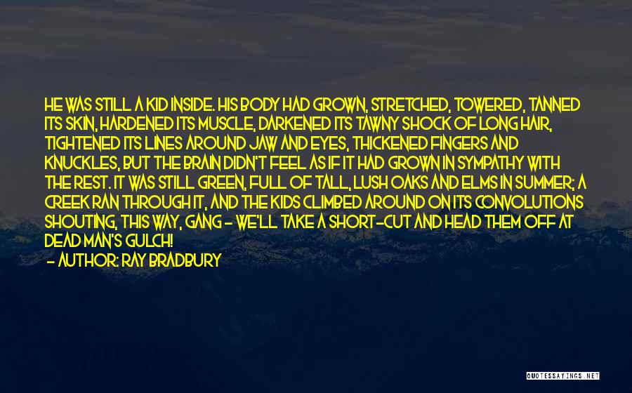 Ray Bradbury Quotes: He Was Still A Kid Inside. His Body Had Grown, Stretched, Towered, Tanned Its Skin, Hardened Its Muscle, Darkened Its