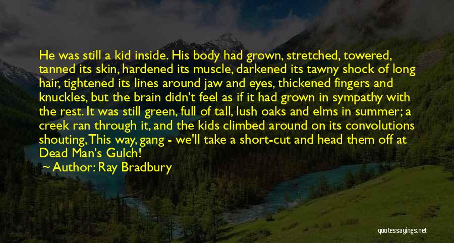 Ray Bradbury Quotes: He Was Still A Kid Inside. His Body Had Grown, Stretched, Towered, Tanned Its Skin, Hardened Its Muscle, Darkened Its