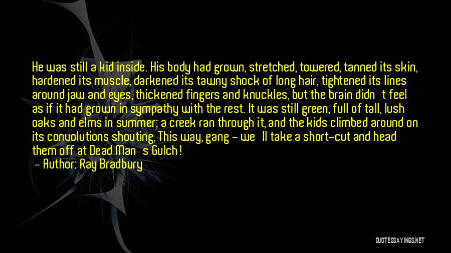 Ray Bradbury Quotes: He Was Still A Kid Inside. His Body Had Grown, Stretched, Towered, Tanned Its Skin, Hardened Its Muscle, Darkened Its