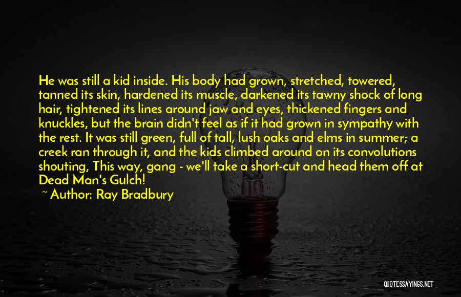 Ray Bradbury Quotes: He Was Still A Kid Inside. His Body Had Grown, Stretched, Towered, Tanned Its Skin, Hardened Its Muscle, Darkened Its