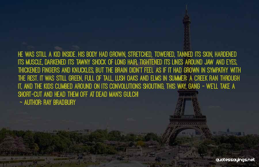Ray Bradbury Quotes: He Was Still A Kid Inside. His Body Had Grown, Stretched, Towered, Tanned Its Skin, Hardened Its Muscle, Darkened Its
