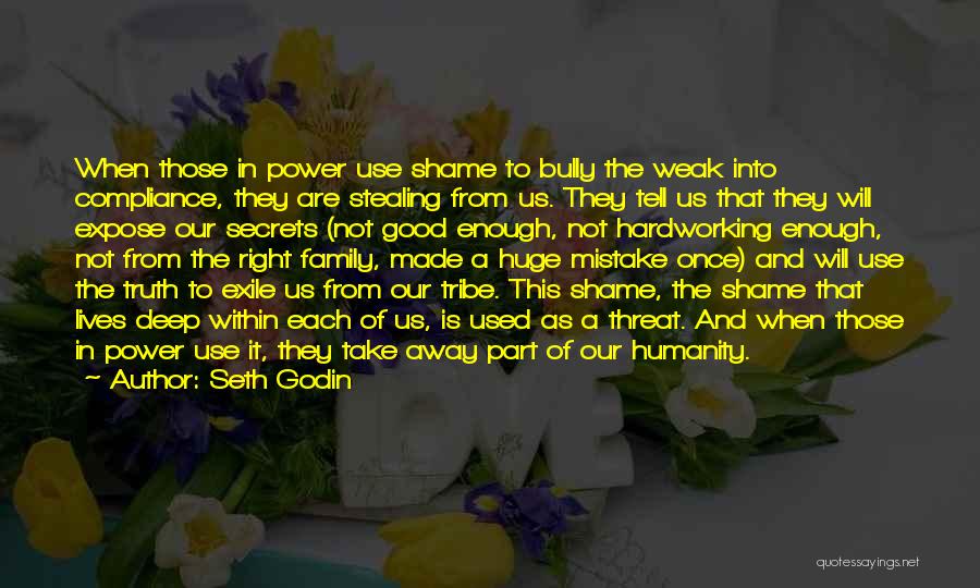 Seth Godin Quotes: When Those In Power Use Shame To Bully The Weak Into Compliance, They Are Stealing From Us. They Tell Us