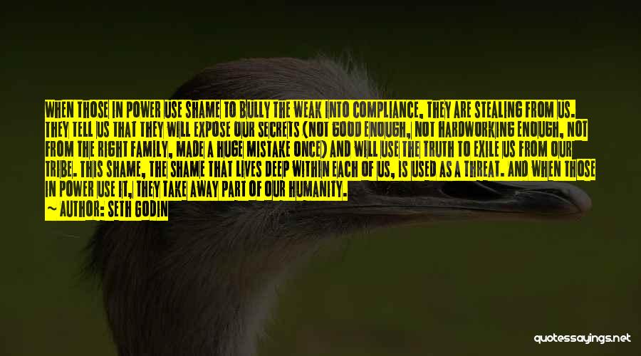 Seth Godin Quotes: When Those In Power Use Shame To Bully The Weak Into Compliance, They Are Stealing From Us. They Tell Us