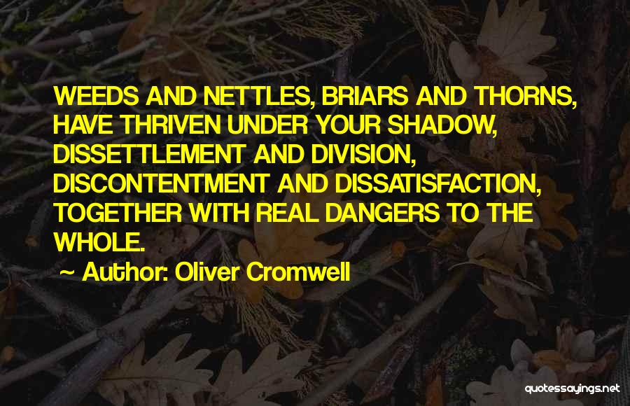 Oliver Cromwell Quotes: Weeds And Nettles, Briars And Thorns, Have Thriven Under Your Shadow, Dissettlement And Division, Discontentment And Dissatisfaction, Together With Real