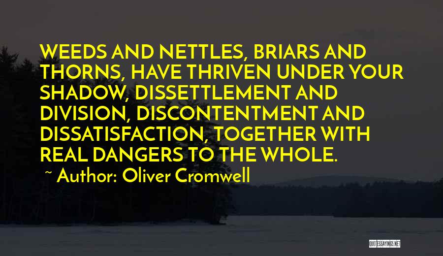 Oliver Cromwell Quotes: Weeds And Nettles, Briars And Thorns, Have Thriven Under Your Shadow, Dissettlement And Division, Discontentment And Dissatisfaction, Together With Real