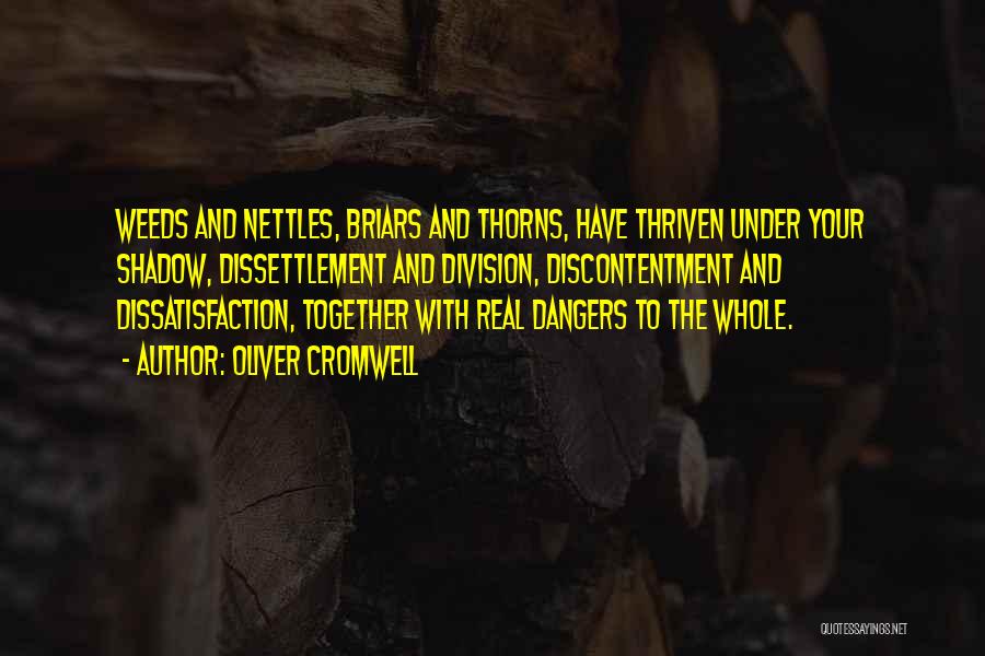 Oliver Cromwell Quotes: Weeds And Nettles, Briars And Thorns, Have Thriven Under Your Shadow, Dissettlement And Division, Discontentment And Dissatisfaction, Together With Real