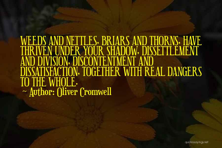 Oliver Cromwell Quotes: Weeds And Nettles, Briars And Thorns, Have Thriven Under Your Shadow, Dissettlement And Division, Discontentment And Dissatisfaction, Together With Real