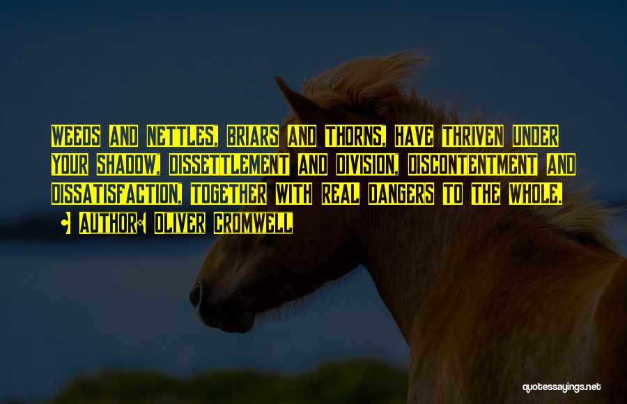 Oliver Cromwell Quotes: Weeds And Nettles, Briars And Thorns, Have Thriven Under Your Shadow, Dissettlement And Division, Discontentment And Dissatisfaction, Together With Real