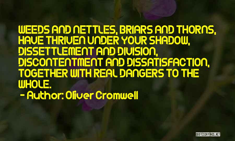 Oliver Cromwell Quotes: Weeds And Nettles, Briars And Thorns, Have Thriven Under Your Shadow, Dissettlement And Division, Discontentment And Dissatisfaction, Together With Real