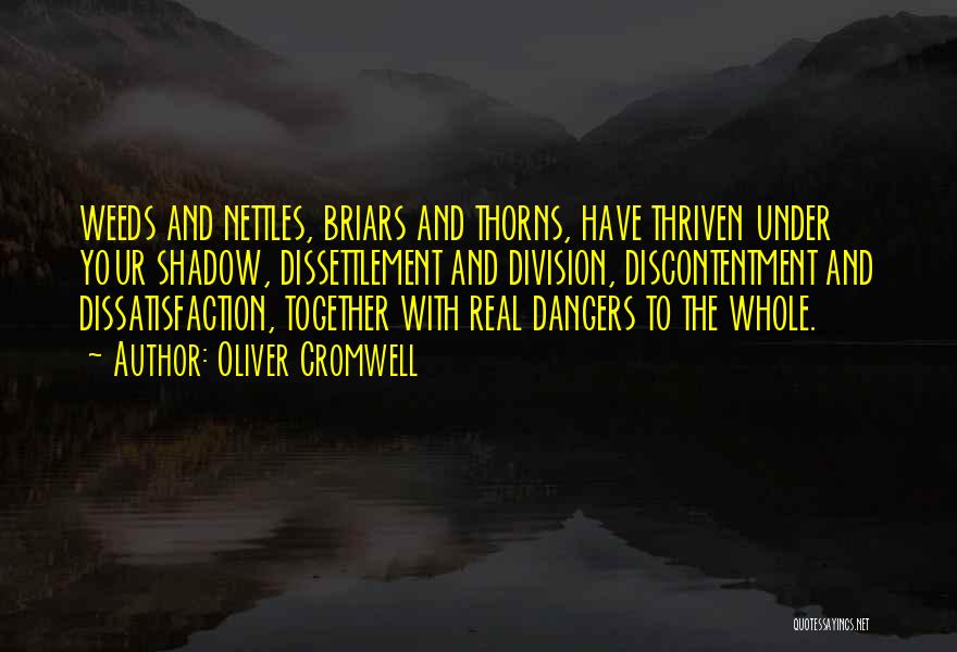Oliver Cromwell Quotes: Weeds And Nettles, Briars And Thorns, Have Thriven Under Your Shadow, Dissettlement And Division, Discontentment And Dissatisfaction, Together With Real