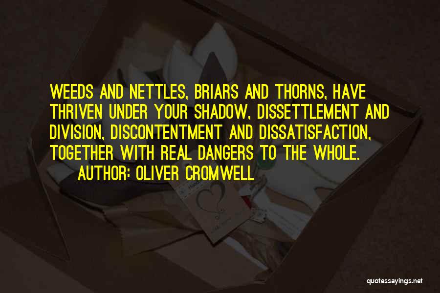 Oliver Cromwell Quotes: Weeds And Nettles, Briars And Thorns, Have Thriven Under Your Shadow, Dissettlement And Division, Discontentment And Dissatisfaction, Together With Real