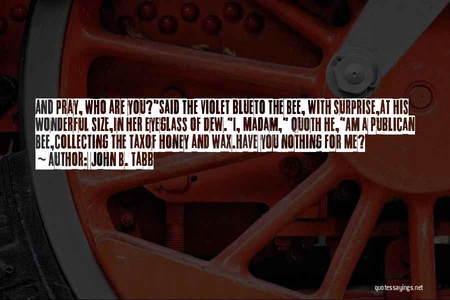 John B. Tabb Quotes: And Pray, Who Are You?said The Violet Blueto The Bee, With Surprise,at His Wonderful Size,in Her Eyeglass Of Dew.i, Madam,