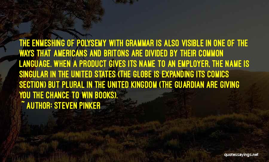 Steven Pinker Quotes: The Enmeshing Of Polysemy With Grammar Is Also Visible In One Of The Ways That Americans And Britons Are Divided