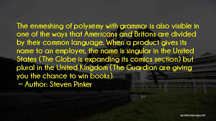 Steven Pinker Quotes: The Enmeshing Of Polysemy With Grammar Is Also Visible In One Of The Ways That Americans And Britons Are Divided