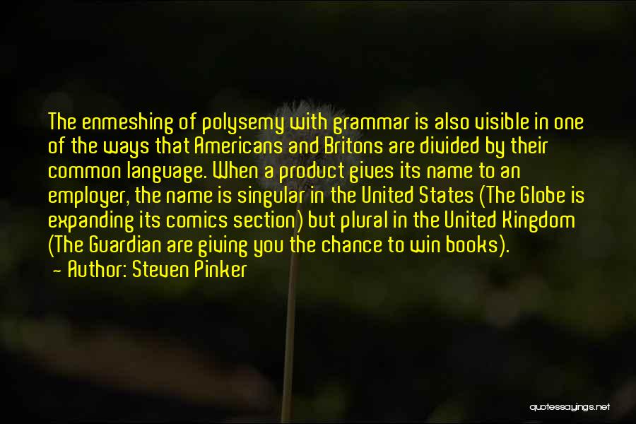 Steven Pinker Quotes: The Enmeshing Of Polysemy With Grammar Is Also Visible In One Of The Ways That Americans And Britons Are Divided