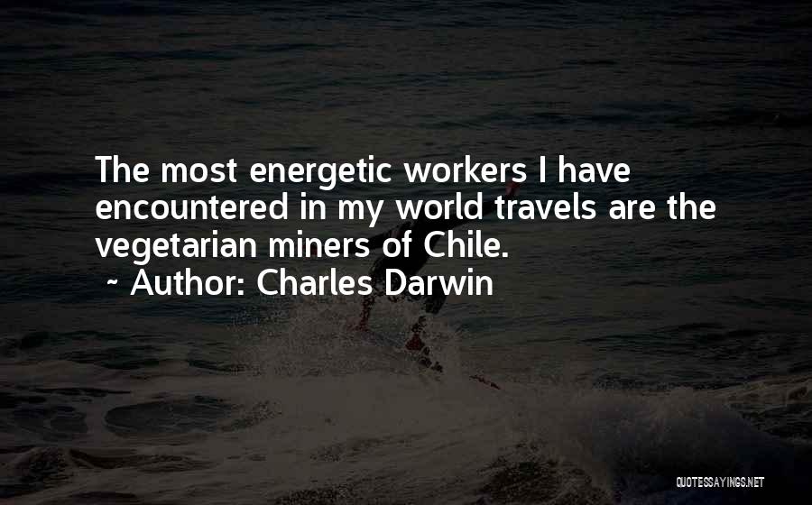 Charles Darwin Quotes: The Most Energetic Workers I Have Encountered In My World Travels Are The Vegetarian Miners Of Chile.