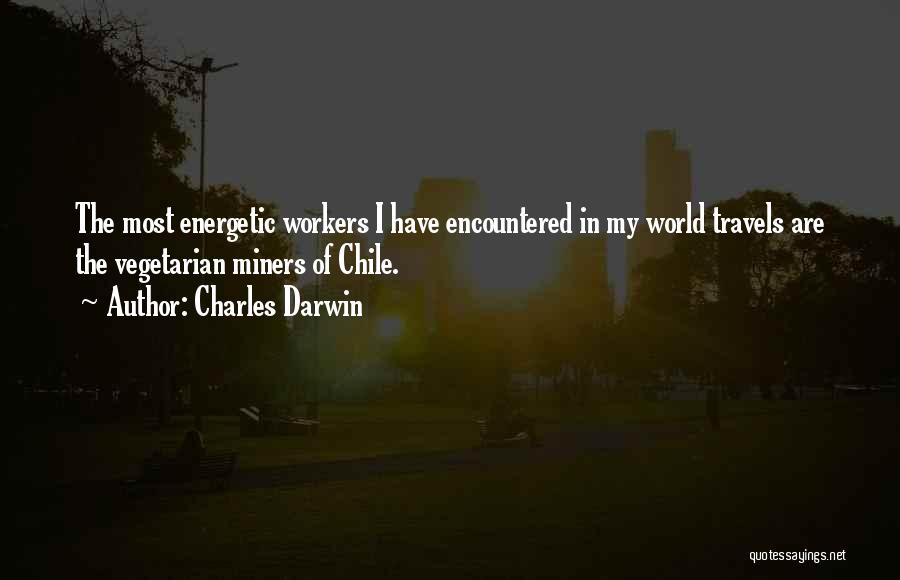 Charles Darwin Quotes: The Most Energetic Workers I Have Encountered In My World Travels Are The Vegetarian Miners Of Chile.