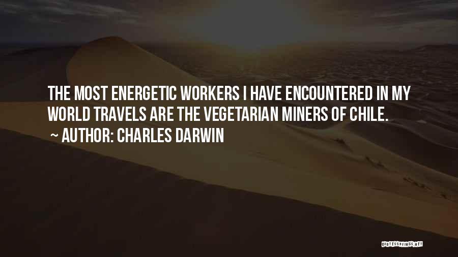 Charles Darwin Quotes: The Most Energetic Workers I Have Encountered In My World Travels Are The Vegetarian Miners Of Chile.