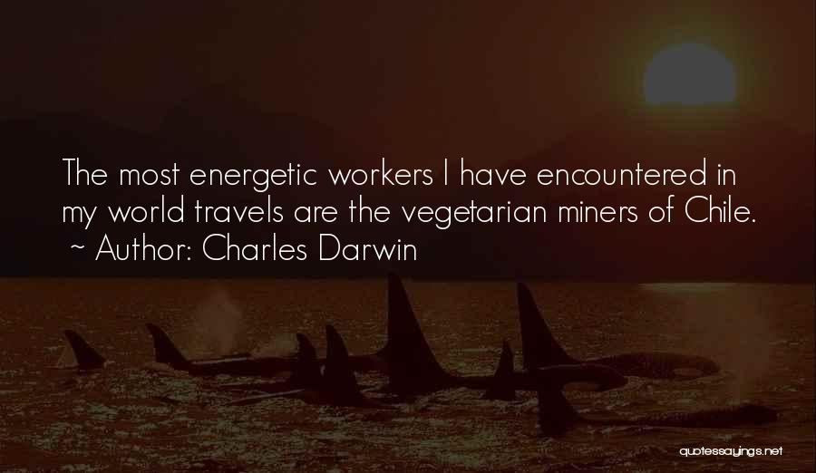 Charles Darwin Quotes: The Most Energetic Workers I Have Encountered In My World Travels Are The Vegetarian Miners Of Chile.