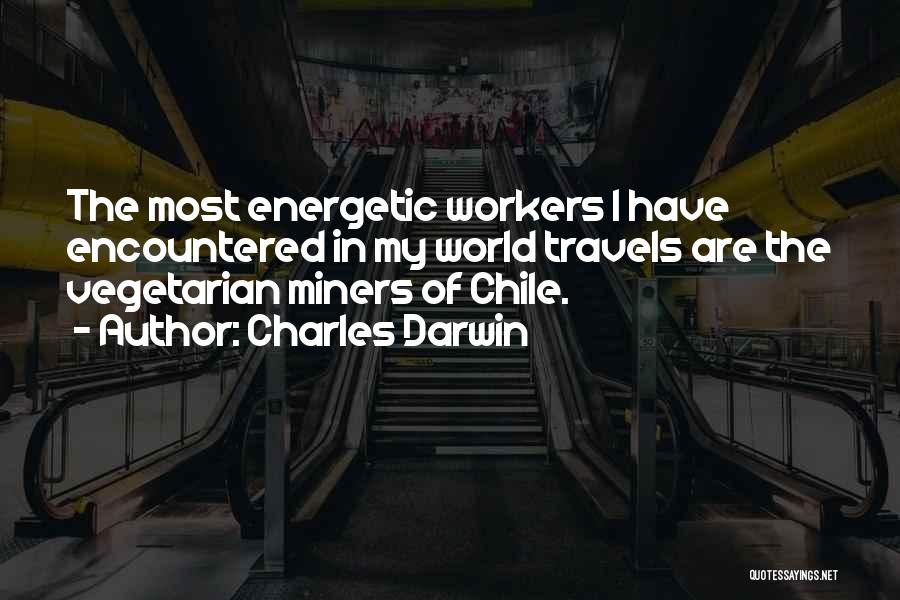 Charles Darwin Quotes: The Most Energetic Workers I Have Encountered In My World Travels Are The Vegetarian Miners Of Chile.