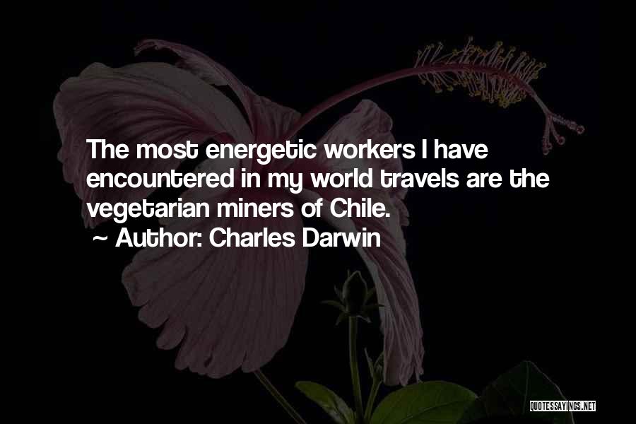 Charles Darwin Quotes: The Most Energetic Workers I Have Encountered In My World Travels Are The Vegetarian Miners Of Chile.