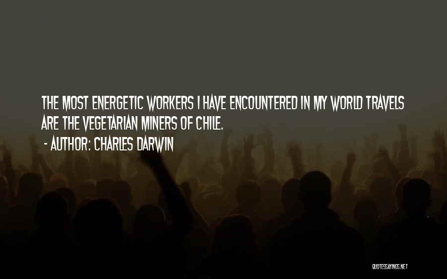 Charles Darwin Quotes: The Most Energetic Workers I Have Encountered In My World Travels Are The Vegetarian Miners Of Chile.
