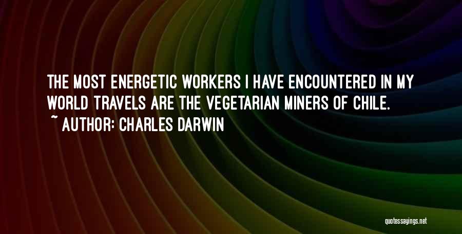 Charles Darwin Quotes: The Most Energetic Workers I Have Encountered In My World Travels Are The Vegetarian Miners Of Chile.