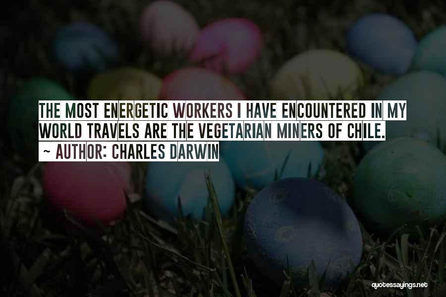 Charles Darwin Quotes: The Most Energetic Workers I Have Encountered In My World Travels Are The Vegetarian Miners Of Chile.