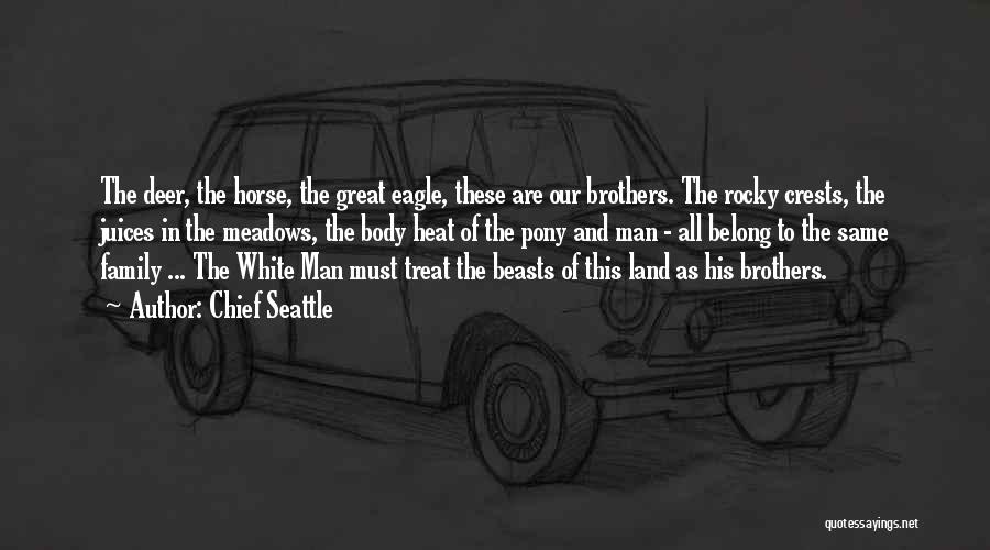Chief Seattle Quotes: The Deer, The Horse, The Great Eagle, These Are Our Brothers. The Rocky Crests, The Juices In The Meadows, The