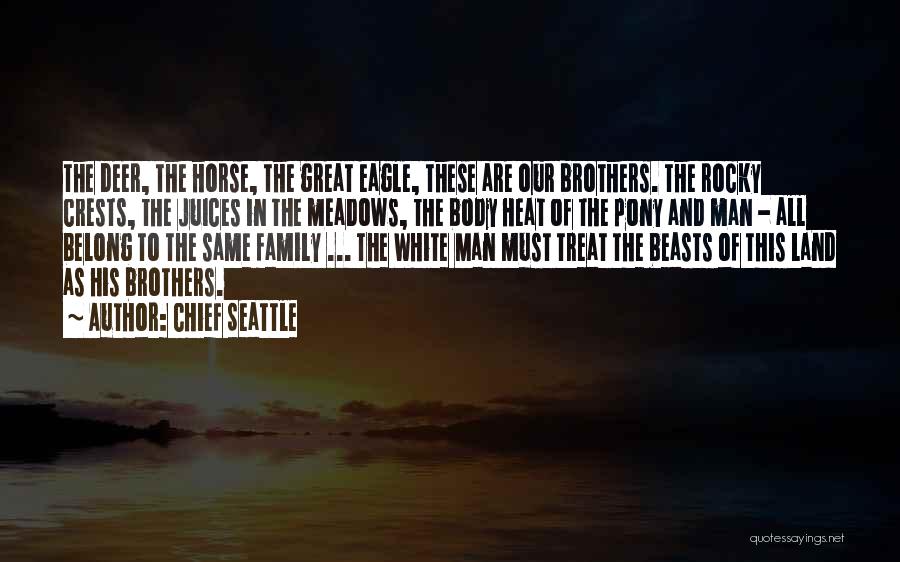 Chief Seattle Quotes: The Deer, The Horse, The Great Eagle, These Are Our Brothers. The Rocky Crests, The Juices In The Meadows, The