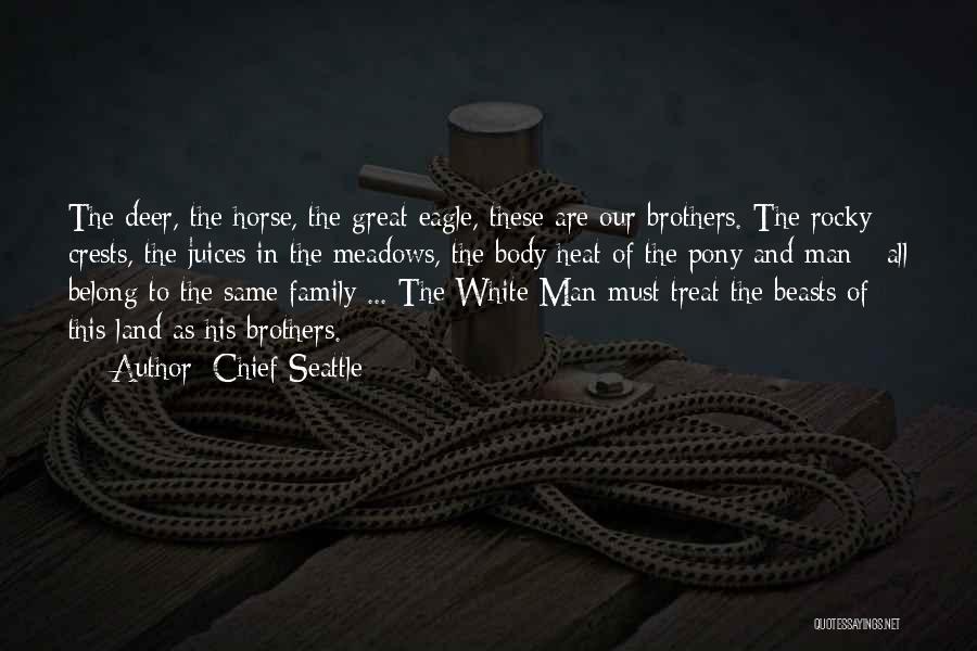 Chief Seattle Quotes: The Deer, The Horse, The Great Eagle, These Are Our Brothers. The Rocky Crests, The Juices In The Meadows, The