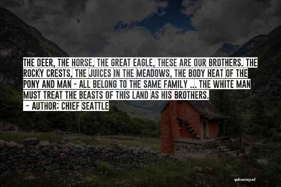 Chief Seattle Quotes: The Deer, The Horse, The Great Eagle, These Are Our Brothers. The Rocky Crests, The Juices In The Meadows, The
