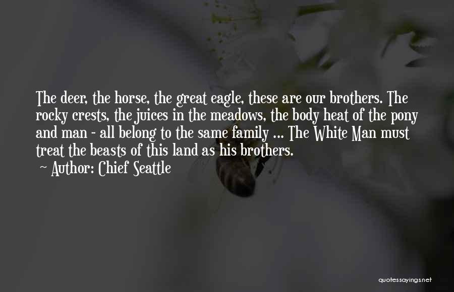 Chief Seattle Quotes: The Deer, The Horse, The Great Eagle, These Are Our Brothers. The Rocky Crests, The Juices In The Meadows, The
