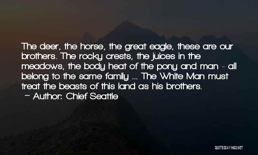 Chief Seattle Quotes: The Deer, The Horse, The Great Eagle, These Are Our Brothers. The Rocky Crests, The Juices In The Meadows, The
