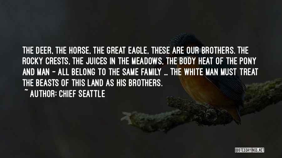 Chief Seattle Quotes: The Deer, The Horse, The Great Eagle, These Are Our Brothers. The Rocky Crests, The Juices In The Meadows, The