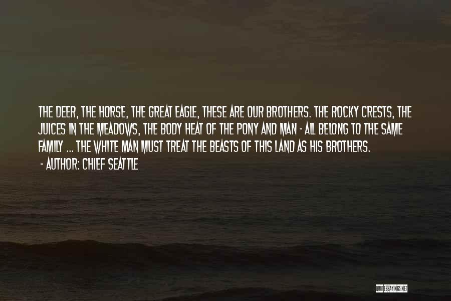 Chief Seattle Quotes: The Deer, The Horse, The Great Eagle, These Are Our Brothers. The Rocky Crests, The Juices In The Meadows, The