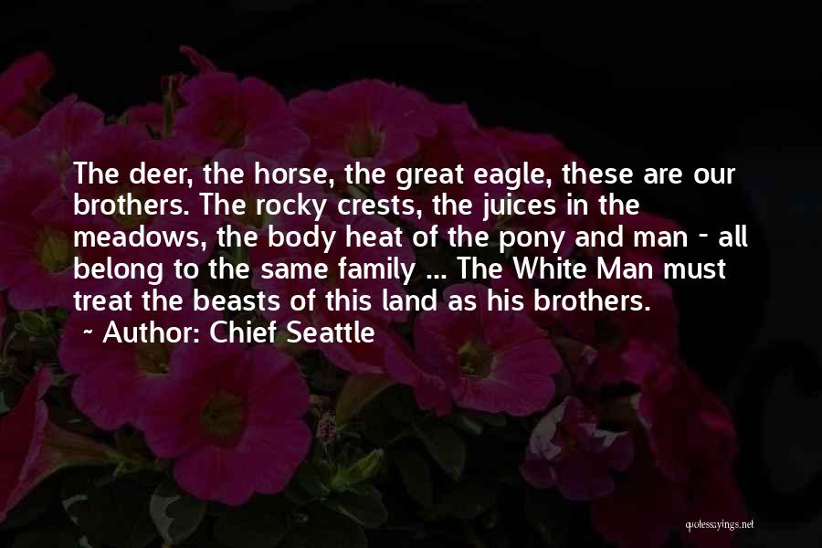 Chief Seattle Quotes: The Deer, The Horse, The Great Eagle, These Are Our Brothers. The Rocky Crests, The Juices In The Meadows, The