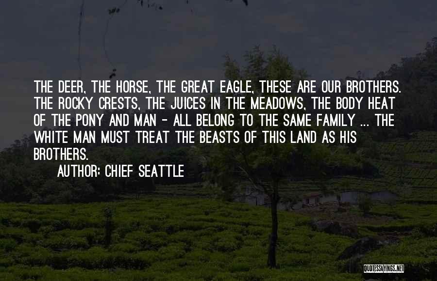 Chief Seattle Quotes: The Deer, The Horse, The Great Eagle, These Are Our Brothers. The Rocky Crests, The Juices In The Meadows, The