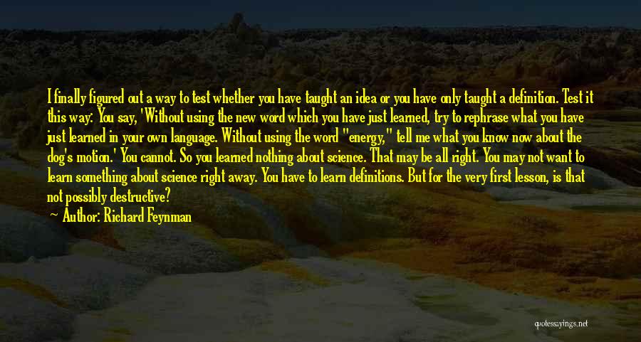 Richard Feynman Quotes: I Finally Figured Out A Way To Test Whether You Have Taught An Idea Or You Have Only Taught A