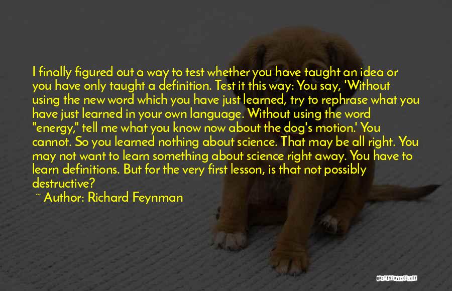 Richard Feynman Quotes: I Finally Figured Out A Way To Test Whether You Have Taught An Idea Or You Have Only Taught A
