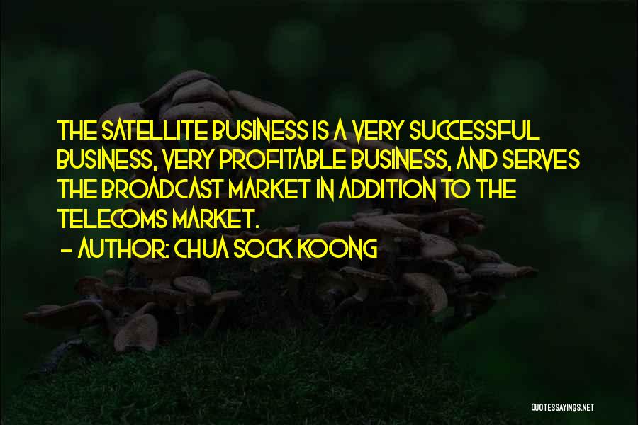 Chua Sock Koong Quotes: The Satellite Business Is A Very Successful Business, Very Profitable Business, And Serves The Broadcast Market In Addition To The