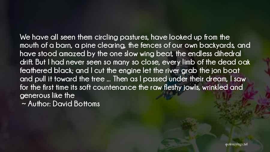 David Bottoms Quotes: We Have All Seen Them Circling Pastures, Have Looked Up From The Mouth Of A Barn, A Pine Clearing, The